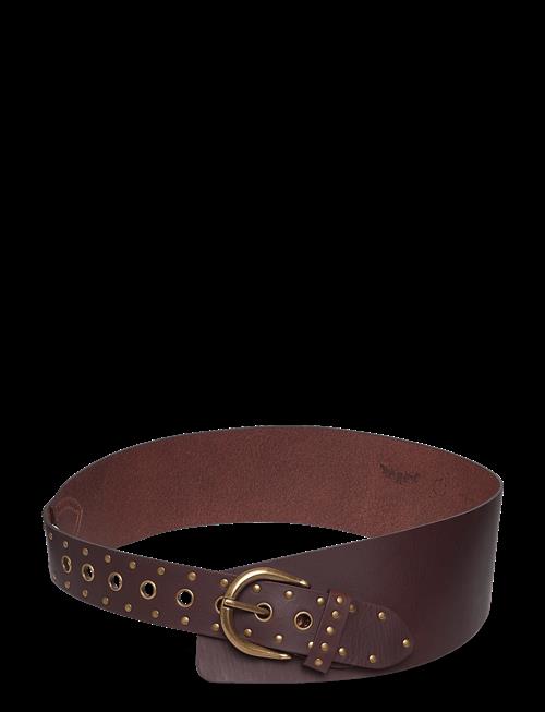 Levi's® | Buckle Up Wide Belt Chocolate | M