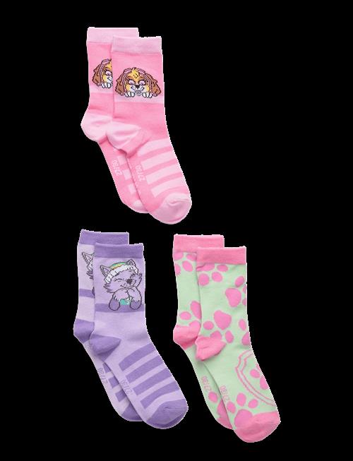 Paw Patrol | Socks | 23/26