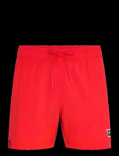 Speedo | Classic Logo Volley 16" | XS