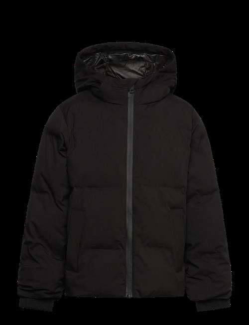 Jack & Jones | Jjkaito Puffer Jacket Mni | 98