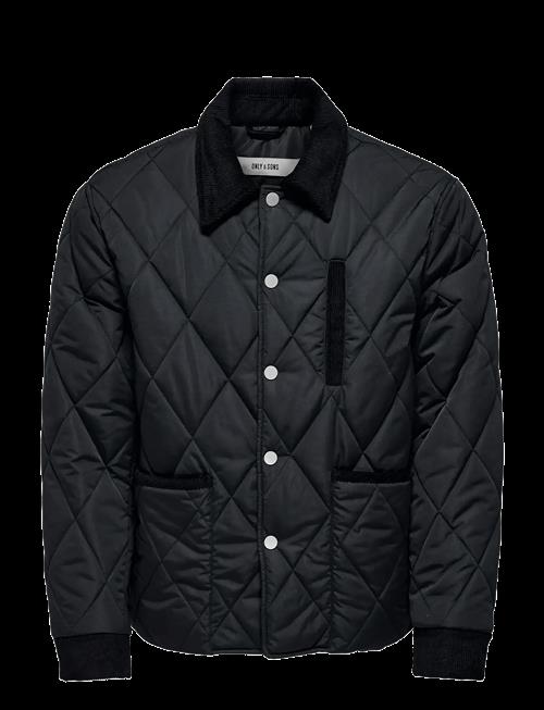 ONLY & SONS | Onsjohnny Quilt Jacket Otw | M