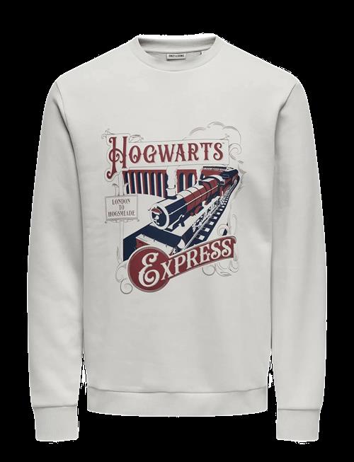 ONLY & SONS | Onsxmas Reg Crew Hp | XXL
