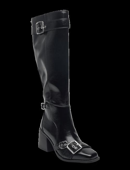 Steve Madden | Z-Town | 39