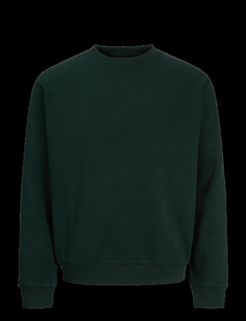 Jack & Jones | Jjebradley Sweat Crew Noos | L