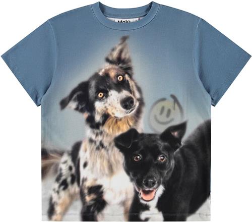 Molo Riley T-shirt Doggy Duo  Doggy Duo 152 cm  Blå  152 cm  Drenge