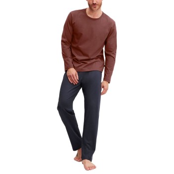 Calida Relax Essentials Pyjama Blå/Brun bomuld Medium Herre