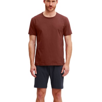 Calida Relax Essentials Short Pyjamas Blå/Brun bomuld Large Herre