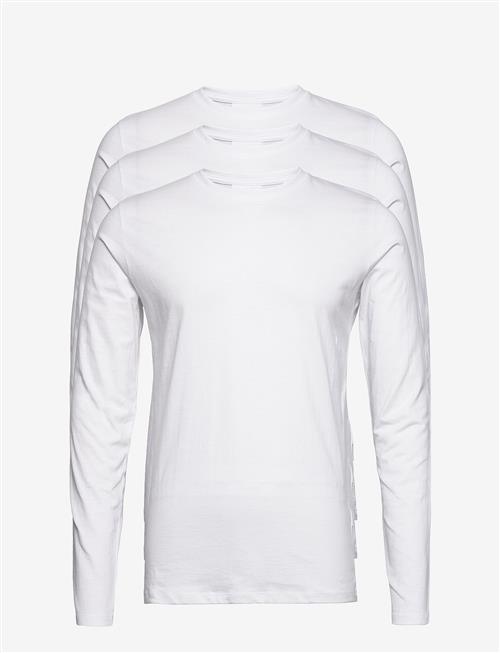 Lindbergh | 3-Pack Basic Tee L/S | XL