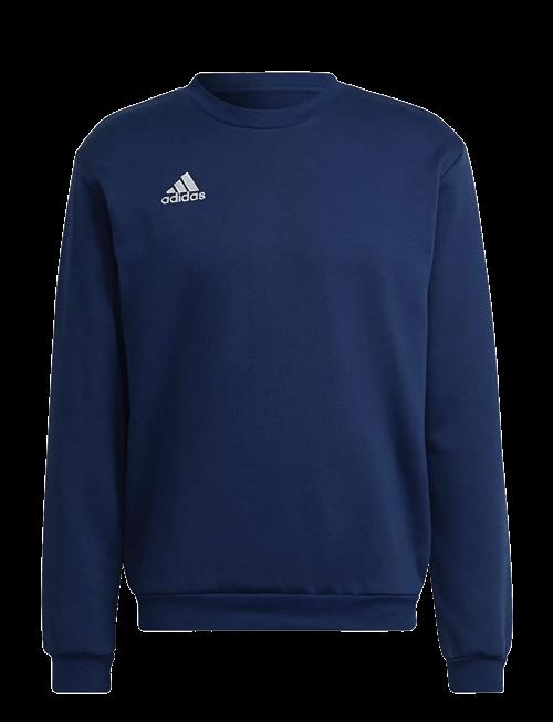 adidas Performance | Ent22 Sw Top | M