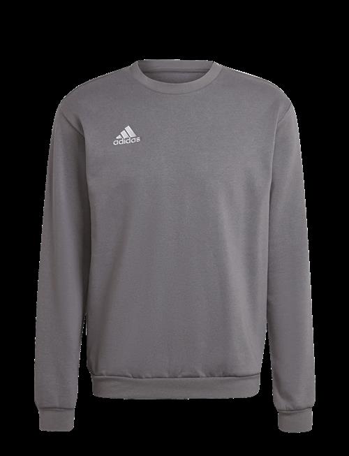 adidas Performance | Ent22 Sw Top | S
