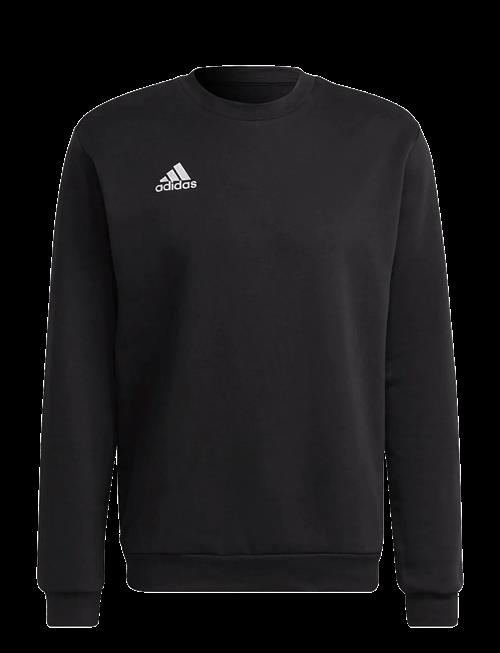 adidas Performance | Ent22 Sw Top | XS