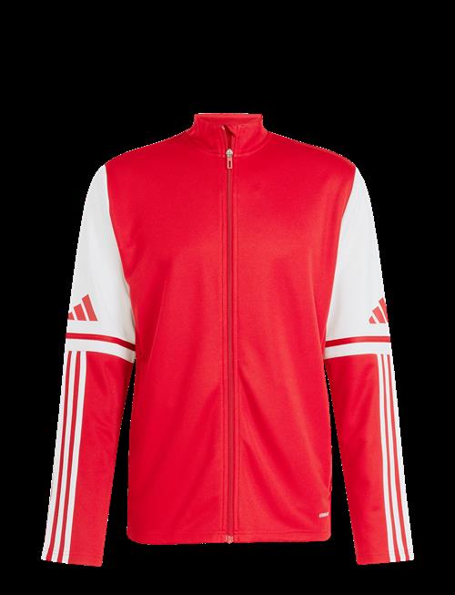 adidas Performance | Sq25 Tr Jkt | XL