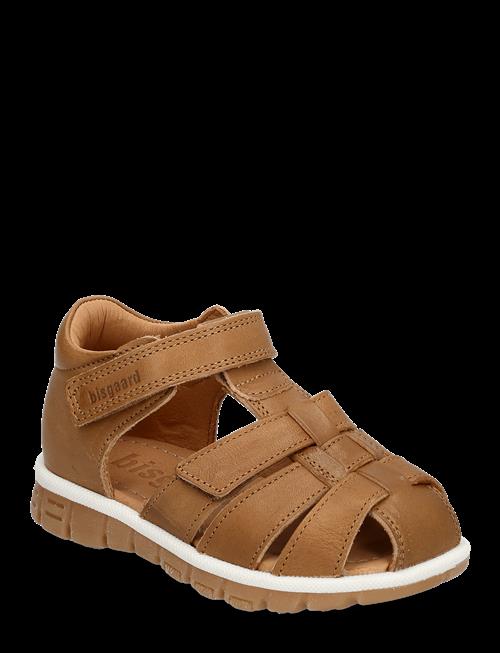 Bisgaard | Bisgaard Angus | 25