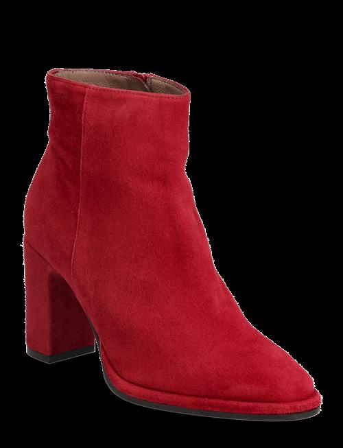 Se Wonders | Ostro | 36 hos Booztlet