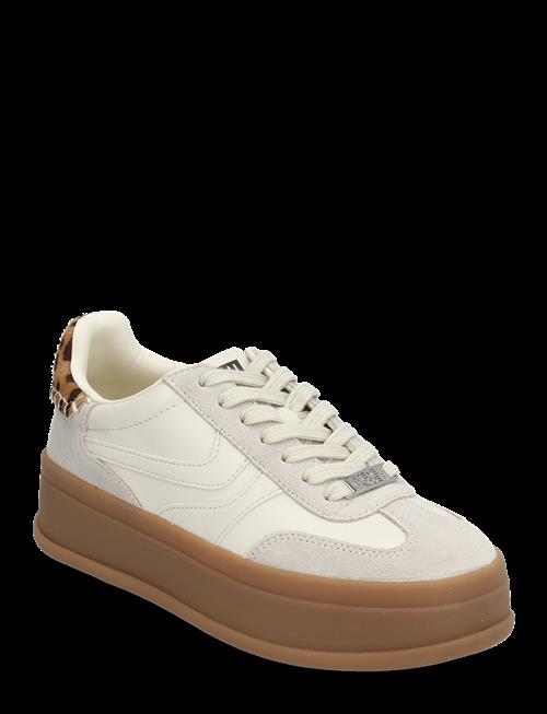 Steve Madden | Off-Track | 41