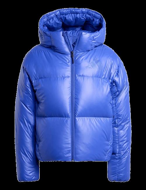 adidas Sportswear | W Z.n.e. Puffer | XXL