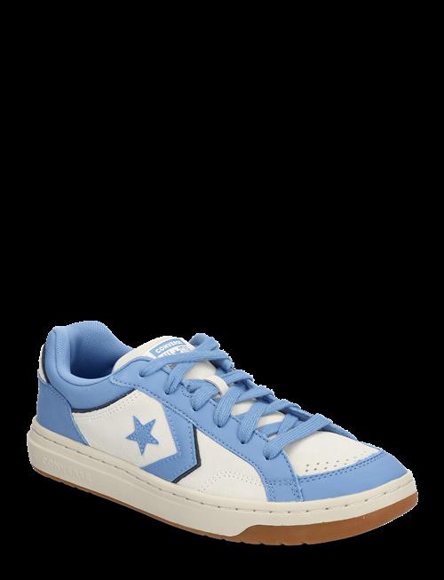 Converse | Pro Blaze Classic Ox Egret/Open Sky | 38