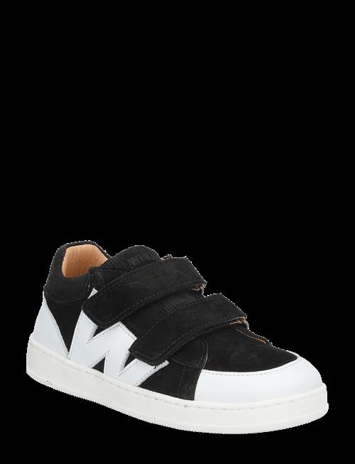 Wheat | Sneaker Walther | 31