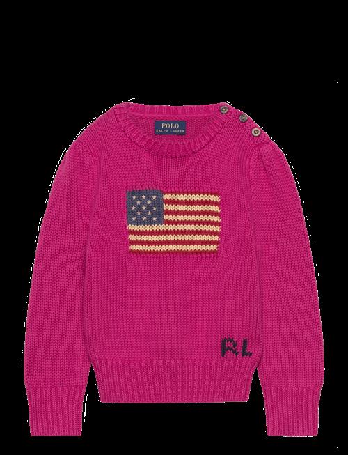 Ralph Lauren Kids | Flag Cotton Crewneck Sweater | 117-123
