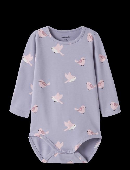 name it | Nbfvandora Ls Body Box | 62