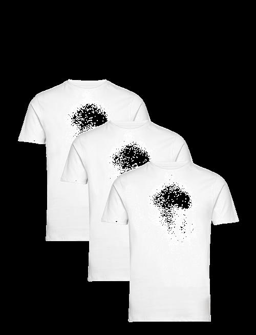 Bruun & Stengade | Bs Antiqua Regular Fit T-Shirt | L