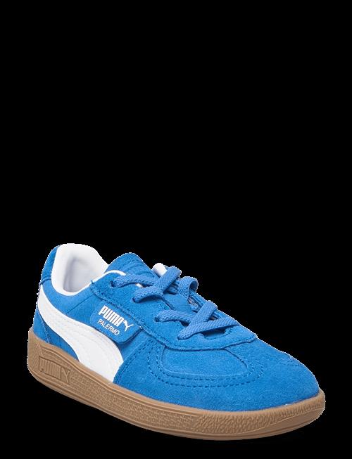 PUMA | Palermo Ac Inf | 21