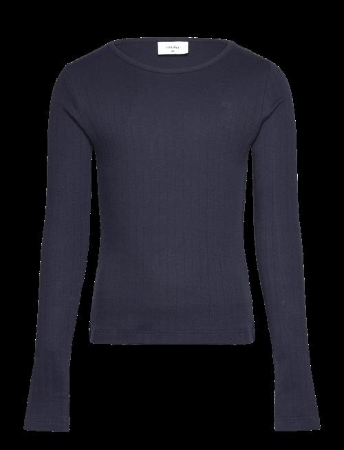 Grunt | Dopim Top Ls | 188