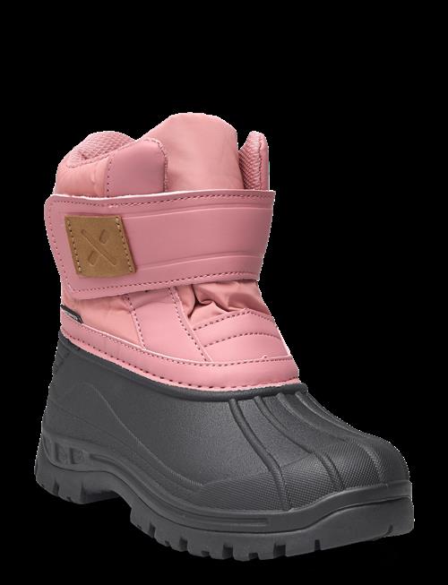 Exani | Winter K | 24-15.6CM