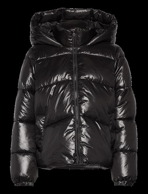 Vero Moda | Vmuppsashiny Short Jacket Excl | M