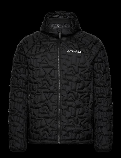adidas Terrex | Xpr Lf Ho J V | M