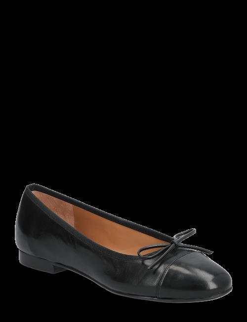 Billi Bi | Ballerina | 36