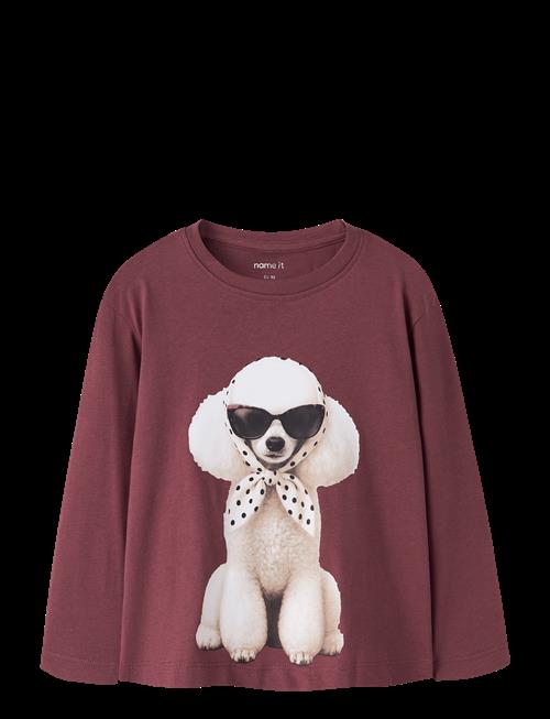 name it | Nmfvotea Ls Nreg Top | 104