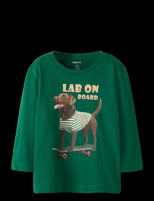 name it | Nmmvoto Ls Nreg Top | 116