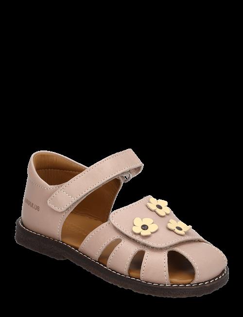 ANGULUS | Sandals - Flat  - Closed Toe | 25