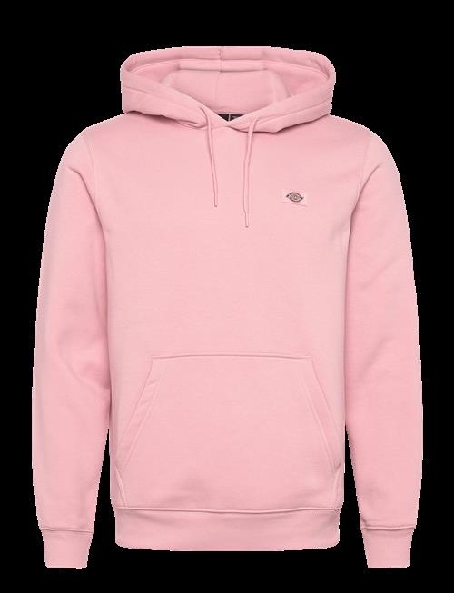 Dickies | Oakport Hoodie | M