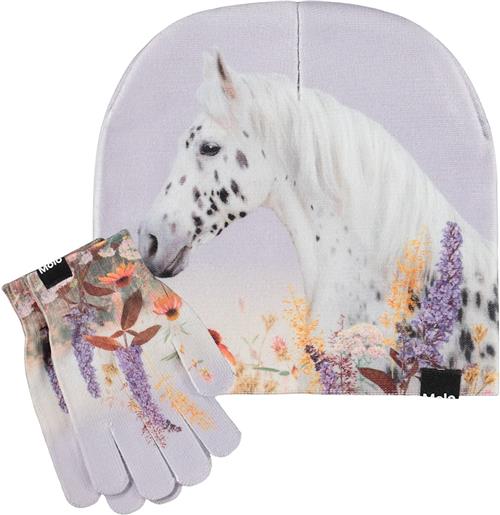 Molo Kaya Outerwear Set Meadow Horse Meadow Horse M/L  Lilla  M/L  Piger
