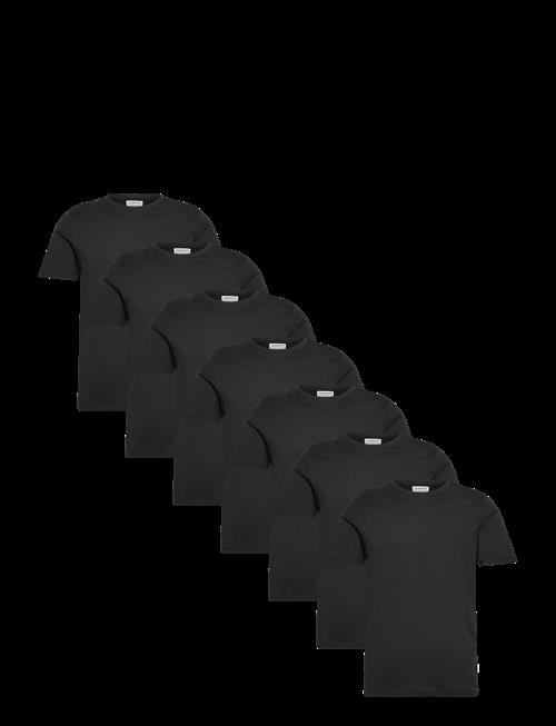 Lindbergh | 7-Pack Basic Tee S/S | XL