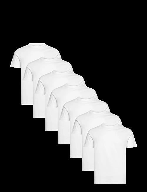 Lindbergh | Basic O-Neck Tee S/S 7 Pack | M