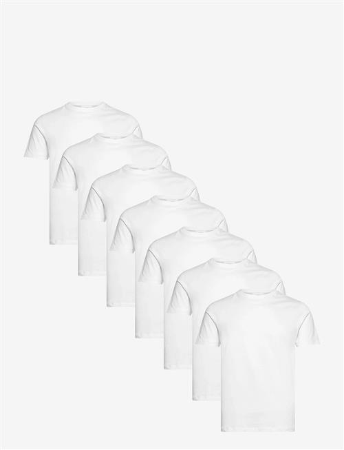 Lindbergh | 7-Pack Basic Tee S/S | XXL