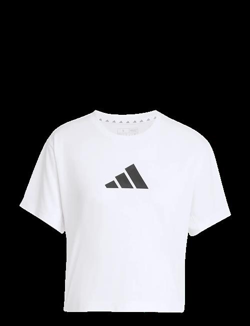 adidas Performance | We Bl Tee | XXL