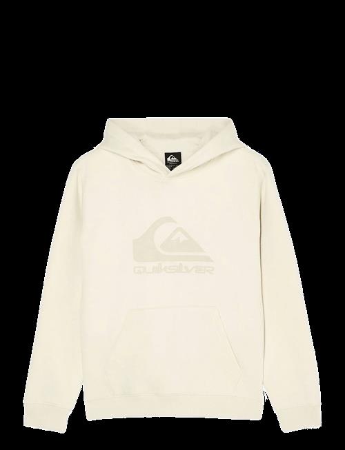 Se Quiksilver | Comp Logo Hoodie Youth | 12 hos Booztlet