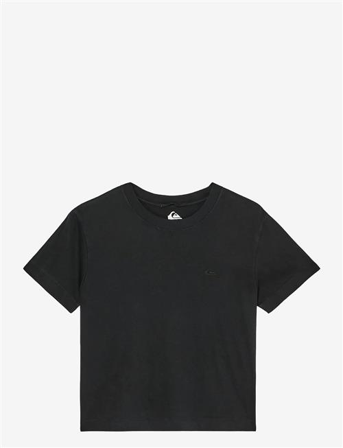 Quiksilver | Essential Ss Tee | M