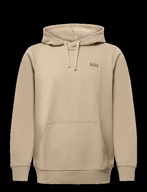 Helly Hansen | Core Graphic Hoodie | L