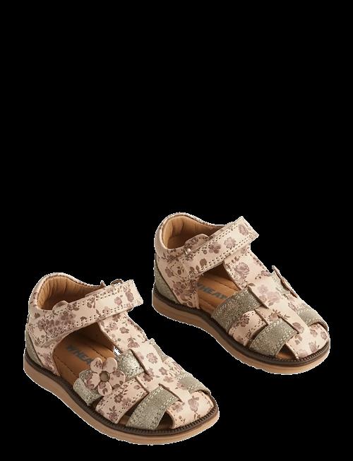 Wheat | Sandal Sky Flower | 24