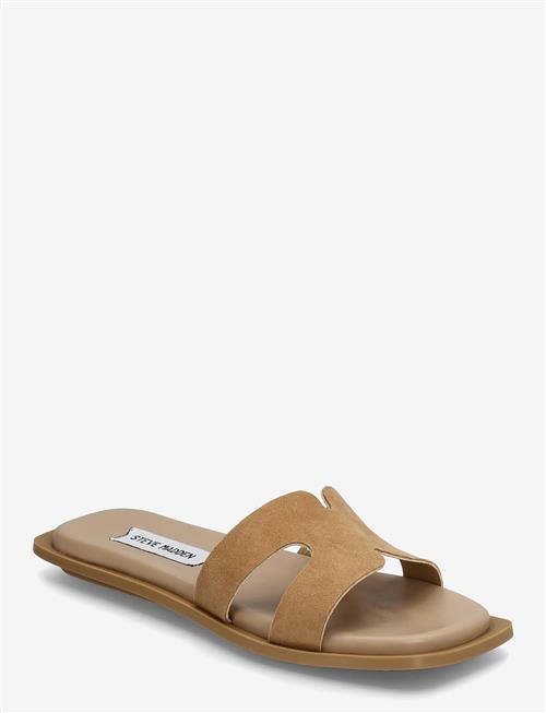 Steve Madden | Sofia | 36