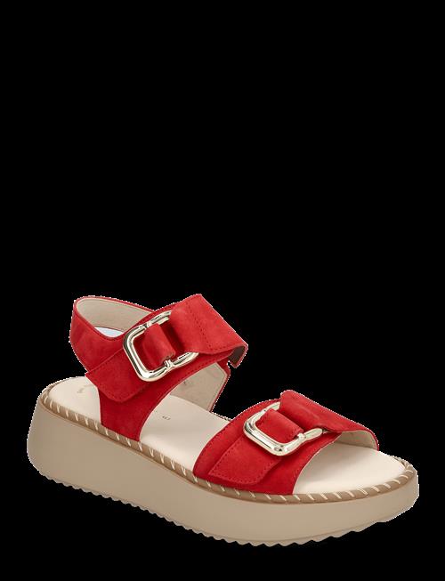 Gabor | Sandal | 38