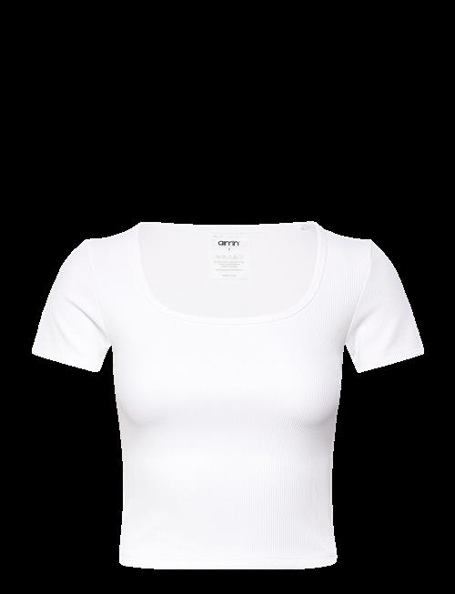 aim´n | Ribbed Performance Short Sleeve | L