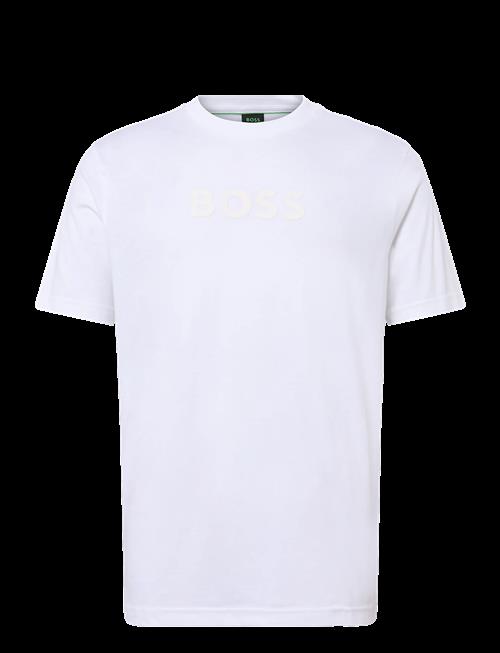 BOSS | Ts_Logo | S