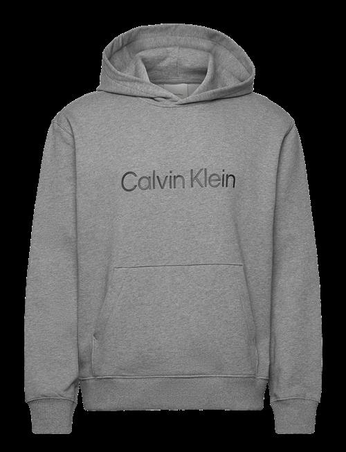 Calvin Klein | Ls Eu Standard Logo 350Terry Po | L