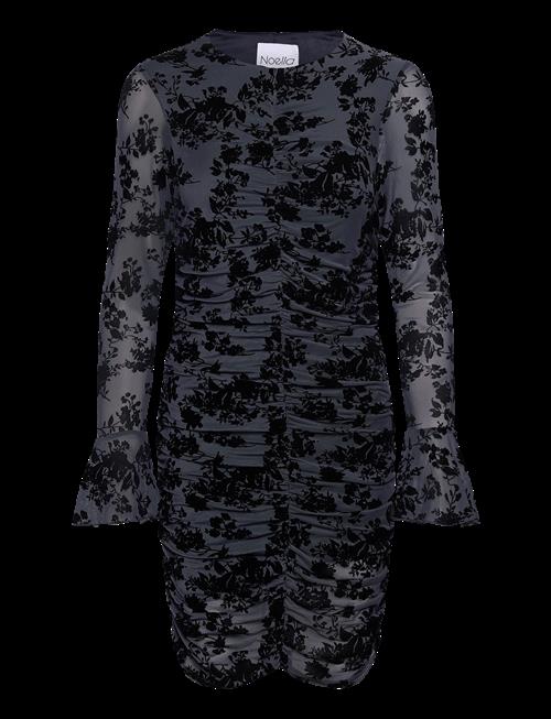 Noella | Lavetta Dress | XXL